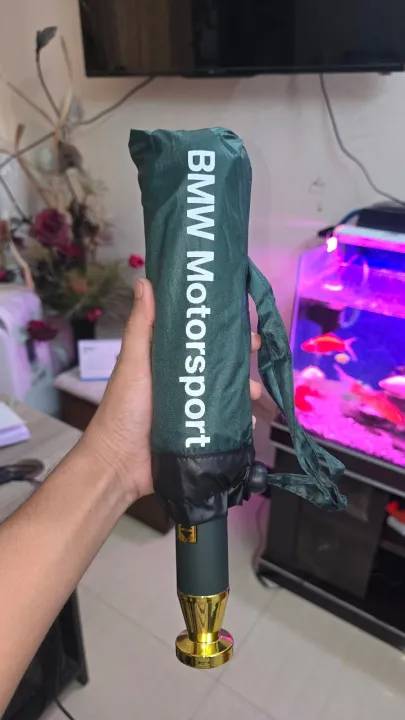 BMW Windproof 12 Sticks Auto Open and Close Umbrella (Green)