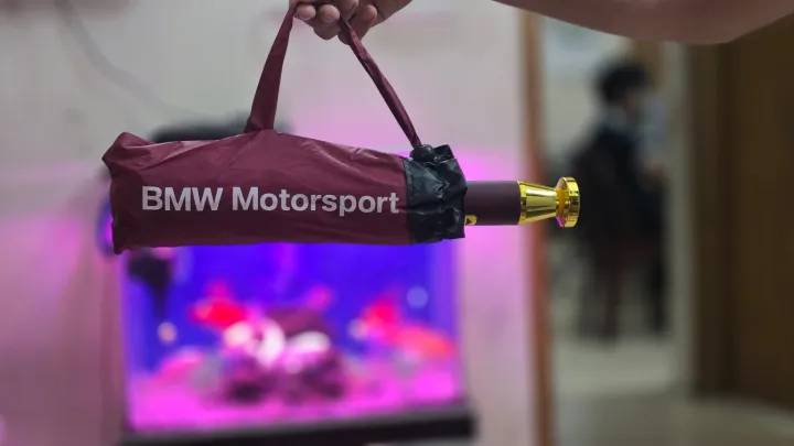 BMW Windproof 12 Sticks Auto Open and Close Umbrella (Merun)