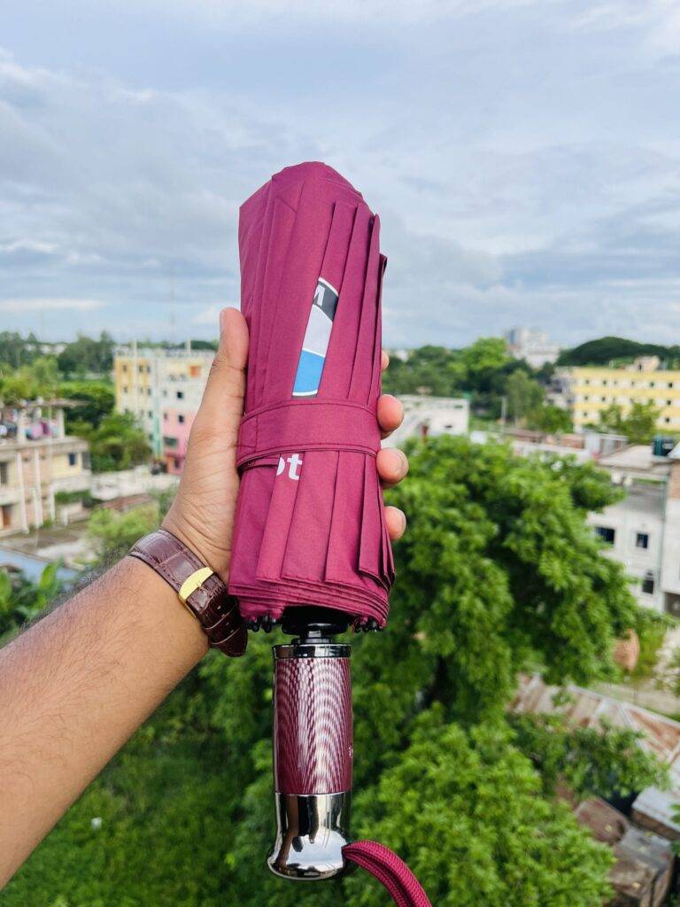BMW Windproof 16 Sticks Auto Open and Close Umbrella (Merun)